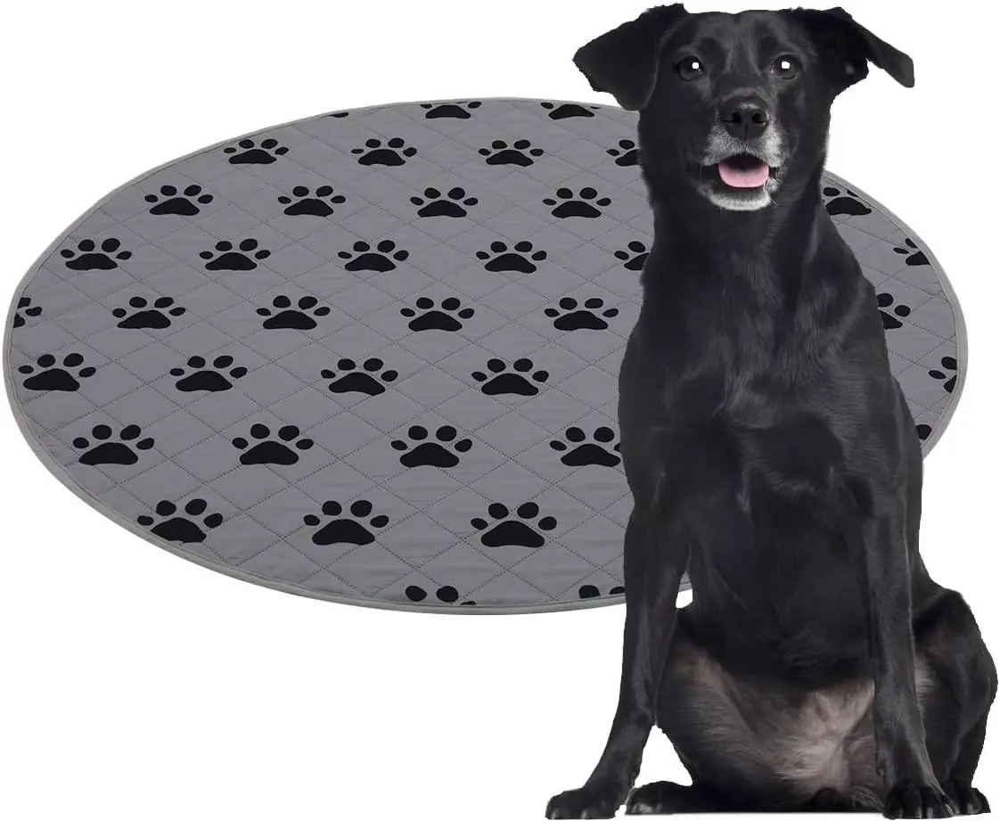 Моющиеся подушечки для ящика для собак, нескользящие водонепроницаемые подушечки для дрессировки щенков, 2 шт., круглые, 40 футов
Моющиеся подушечки для ящика для собак, нескользящие водонепроницаемые подушечки для дрессировки щенков, 2 шт., круглые, 40 футов