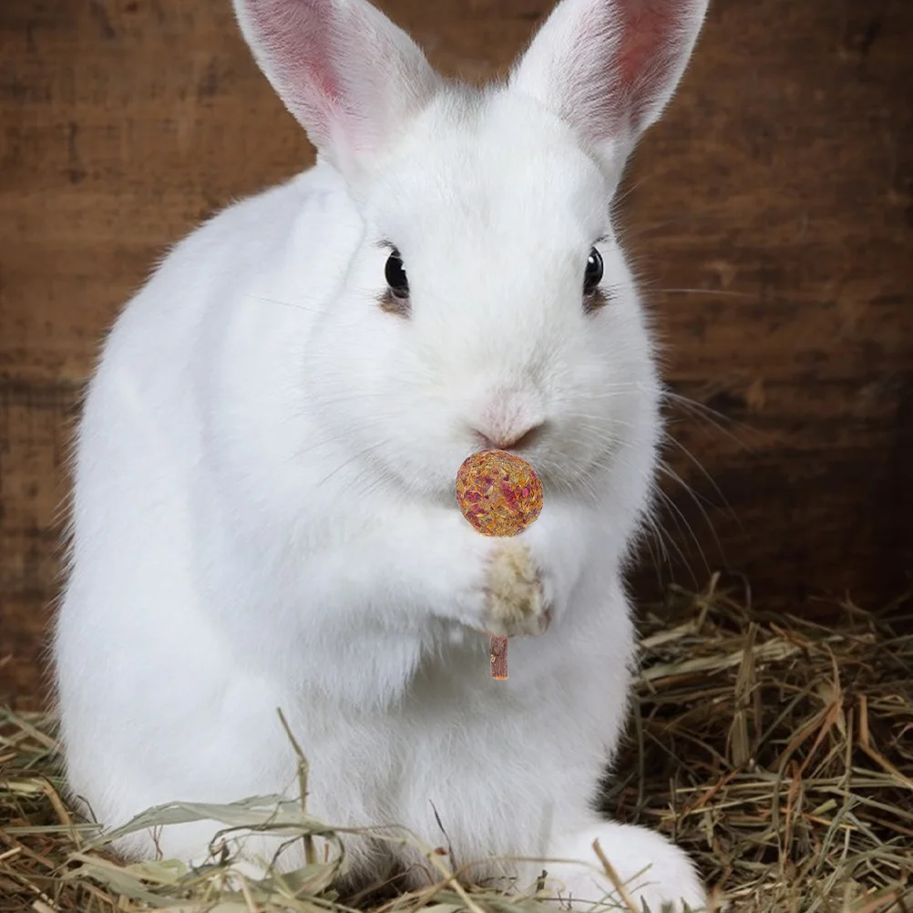 12 Pcs Pet Rabbit Snacks Comforting Biting Playthings Animals Small Teething Toys Bite Chew Chewing Hamster
12 Pcs Pet Rabbit Snacks Comforting Biting Playthings Animals Small Teething Toys Bite Chew Chewing Hamster