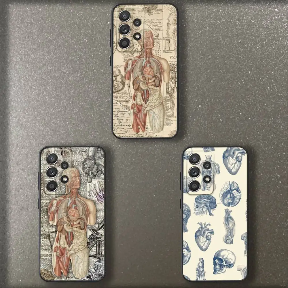 Medical Anatomy Phone Case For Samsung S 25,24,23,22,30,21,10,9,Ultra,Plus,Lite,FE,4,5 G Soft Black Case 
Medical Anatomy Phone Case For Samsung S 25,24,23,22,30,21,10,9,Ultra,Plus,Lite,FE,4,5 G Soft Black Case