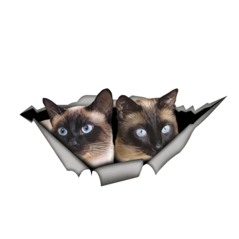 Car Sticker Siamese Cats Waterproof Decal Car Accessories Pegatinas Para Coche Car Styling
Car Sticker Siamese Cats Waterproof Decal Car Accessories Pegatinas Para Coche Car Styling