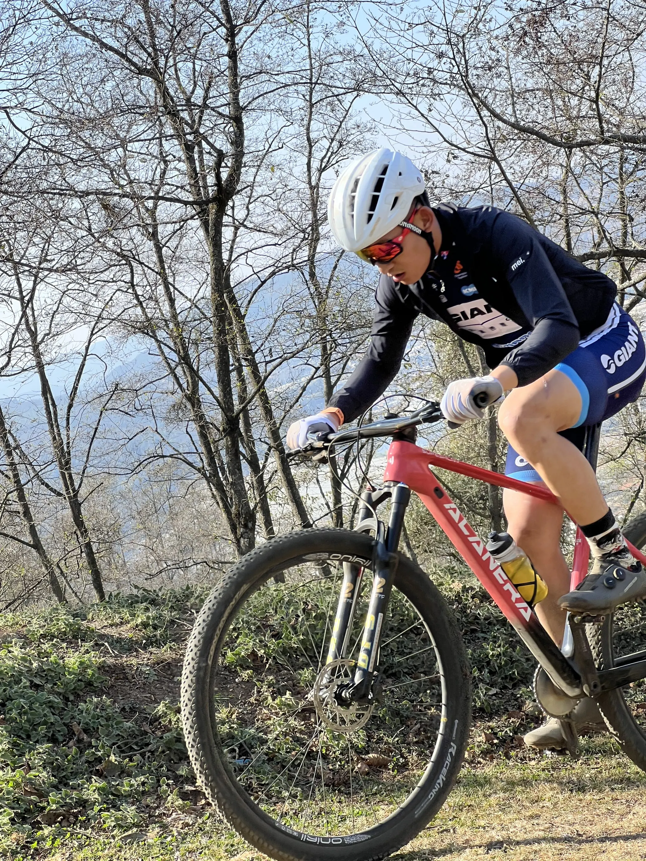 New gradient pink ALANERA T800carbon fiber 29er frame Storm Shadow -MAX mountain bike 148 open gear frame UD tail hook
New gradient pink ALANERA T800carbon fiber 29er frame Storm Shadow -MAX mountain bike 148 open gear frame UD tail hook