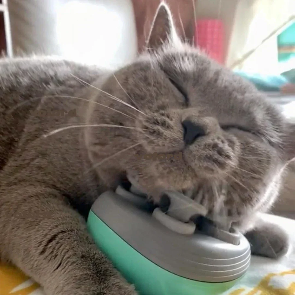 Electric Cat Massager Head Back Scratcher for Relieving Tension Pet Massage Tool Shoulder Neck Deep Tissue Head Scalp Massager
Electric Cat Massager Head Back Scratcher for Relieving Tension Pet Massage Tool Shoulder Neck Deep Tissue Head Scalp Massager