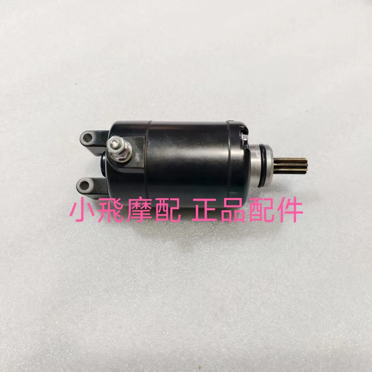 For Qj Motor Srk421rr Accessories Qjmotor Srk 421 Rr Starter Motor
For Qj Motor Srk421rr Accessories Qjmotor Srk 421 Rr Starter Motor
