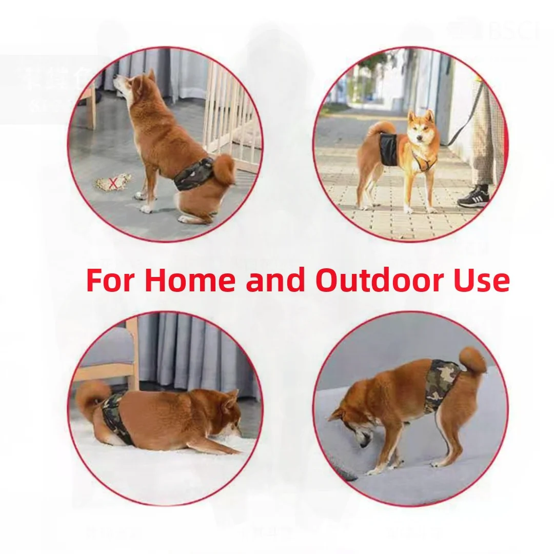 Male Dog Physiological Belt with Net Pocket Three Layer Absorbent Cotton Pet Diaper for Training And Home Use Black Green Gray
Male Dog Physiological Belt with Net Pocket Three Layer Absorbent Cotton Pet Diaper for Training And Home Use Black Green Gray