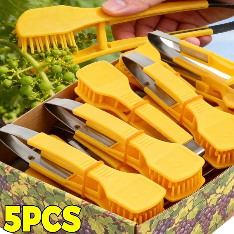 Grape Bud Thinning Clips Grape Pruning Tool Fruit Thinning Comb with Teeth Handheld Grape Cluster Trimmer for Gardening Farm
Grape Bud Thinning Clips Grape Pruning Tool Fruit Thinning Comb with Teeth Handheld Grape Cluster Trimmer for Gardening Farm