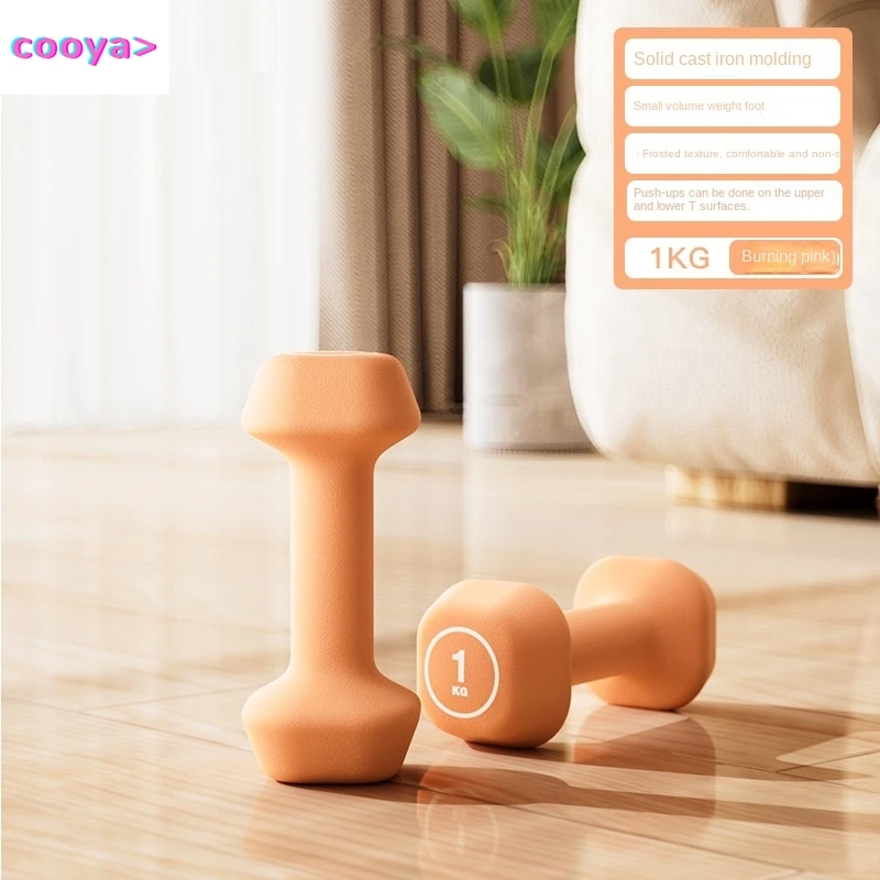 Cooya Dumbbell Women's Fitness Home Equipment, Yoga Women's Kettlebell Style Wrapped Rubber Impregnated Small Dumbbells 2025 New
Cooya Dumbbell Women's Fitness Home Equipment, Yoga Women's Kettlebell Style Wrapped Rubber Impregnated Small Dumbbells 2025 New