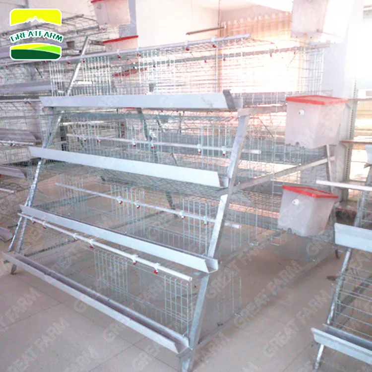 4-tier Hot Sale Layer Chicken Cage For Poultry Husbandry For Chicken Farms
4-tier Hot Sale Layer Chicken Cage For Poultry Husbandry For Chicken Farms
