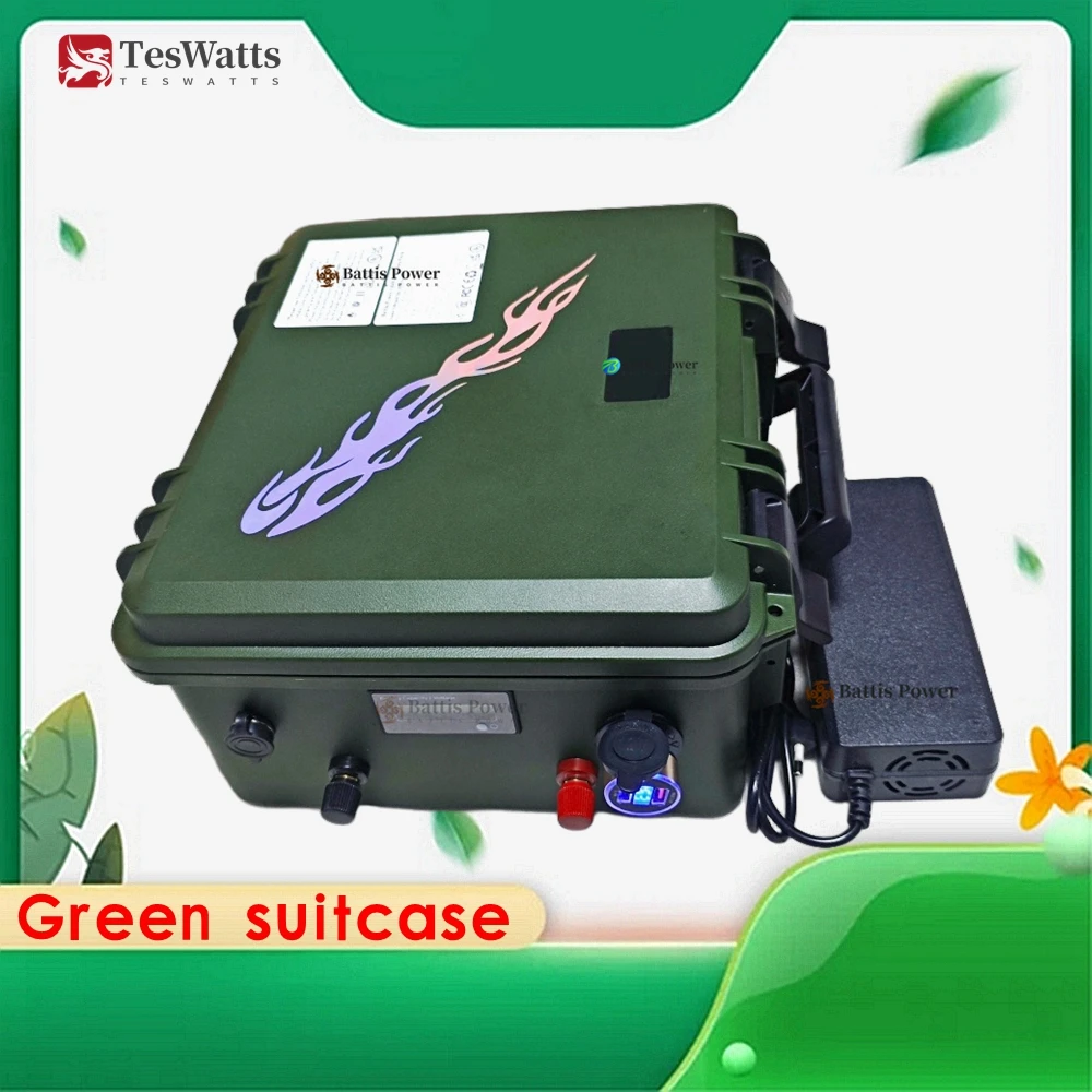 Teswatts-12v 11v 60Ah 80Ah 120Ah 150ah 200ah Lithium +10A Зарядное устройство 13v 11v 180ah
Teswatts-12v 11v 60Ah 80Ah 120Ah 150ah 200ah Lithium +10A Зарядное устройство 13v 11v 180ah