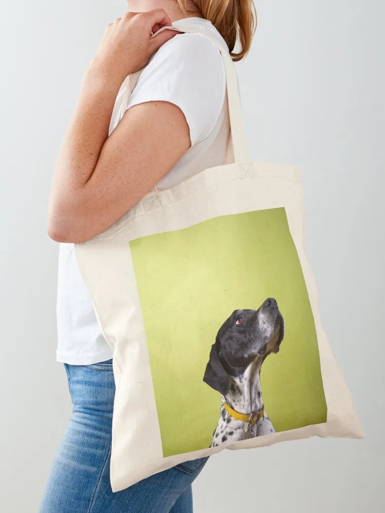 English Pointer Dog Portrait Tote Bag Handbags great bag personalized tote Woman shopper bag
English Pointer Dog Portrait Tote Bag Handbags great bag personalized tote Woman shopper bag