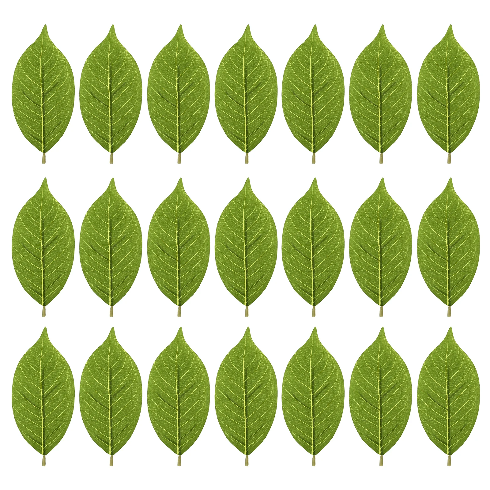 50 Pcs Artificial Magnolia Leaf Plants Outdoor Fake Leaves Branches Decorate Faux Pu Material Green Bulk Indoor
50 Pcs Artificial Magnolia Leaf Plants Outdoor Fake Leaves Branches Decorate Faux Pu Material Green Bulk Indoor
