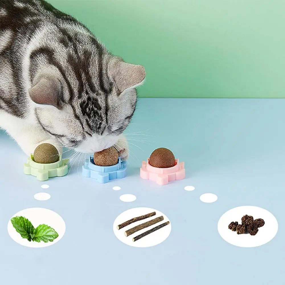 Pet Cat Catnip Ball Sea Turtle Shape 360-degree Rotating Edible Ball Interactive Toy For Indoor Cats
Pet Cat Catnip Ball Sea Turtle Shape 360-degree Rotating Edible Ball Interactive Toy For Indoor Cats