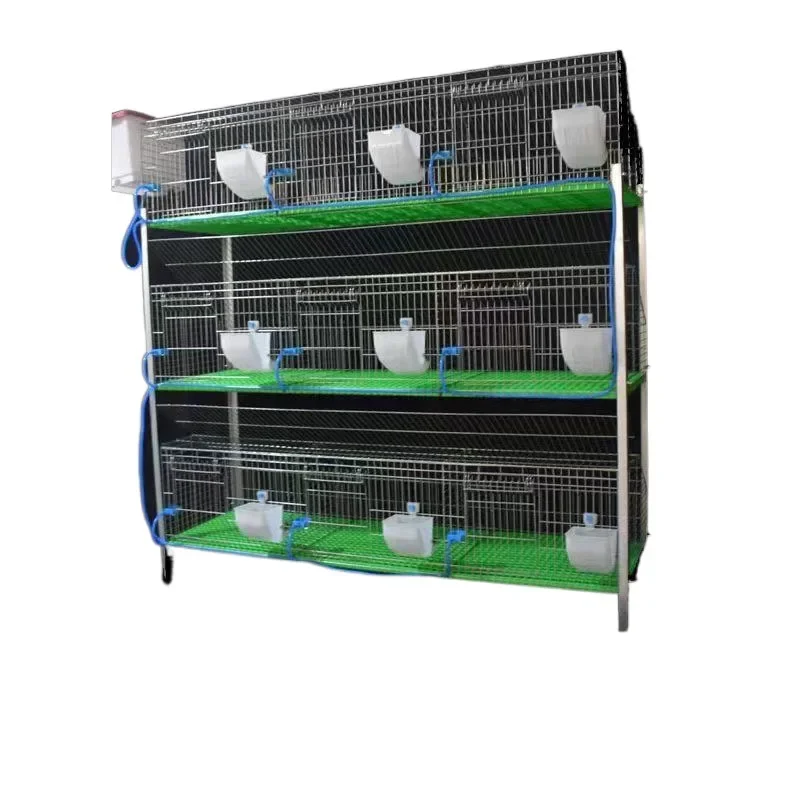 Rabbit cage special new automatic manure cleaning household breeding cage professional special cage
Rabbit cage special new automatic manure cleaning household breeding cage professional special cage