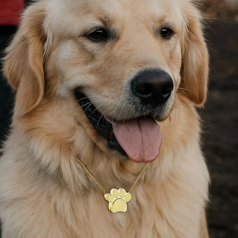 Stainless Steel Pet Paw Print Urn Necklace Cute Waterproof Pet Ashes Memorial Jewelry Mini Dustproof Pet Teeth Hair Box
Stainless Steel Pet Paw Print Urn Necklace Cute Waterproof Pet Ashes Memorial Jewelry Mini Dustproof Pet Teeth Hair Box