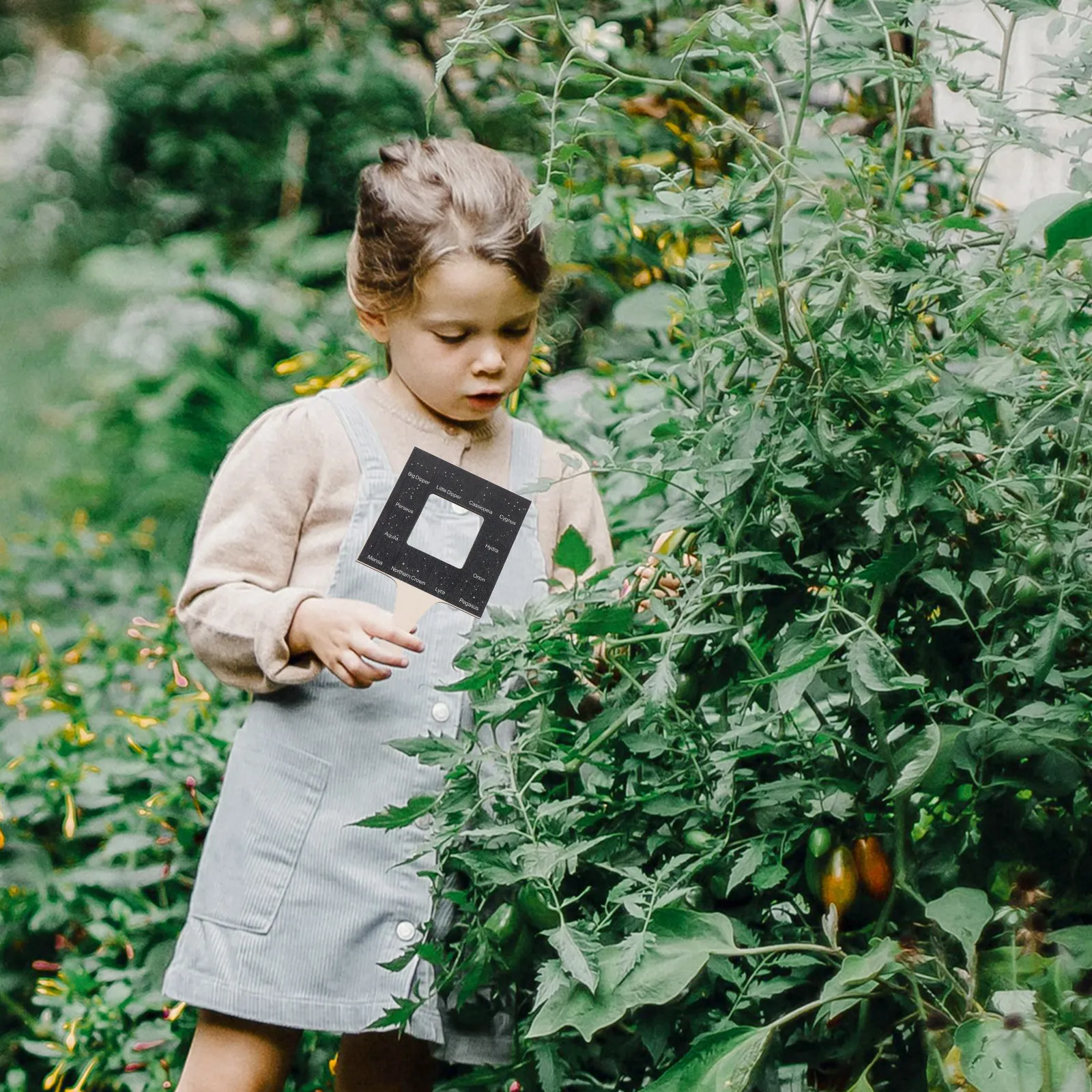 Портативный прибор для наблюдения за природой в деревянной рамке: гид по идентификации для детей, для изучения и исследований на природе
Портативный прибор для наблюдения за природой в деревянной рамке: гид по идентификации для детей, для изучения и исследований на природе