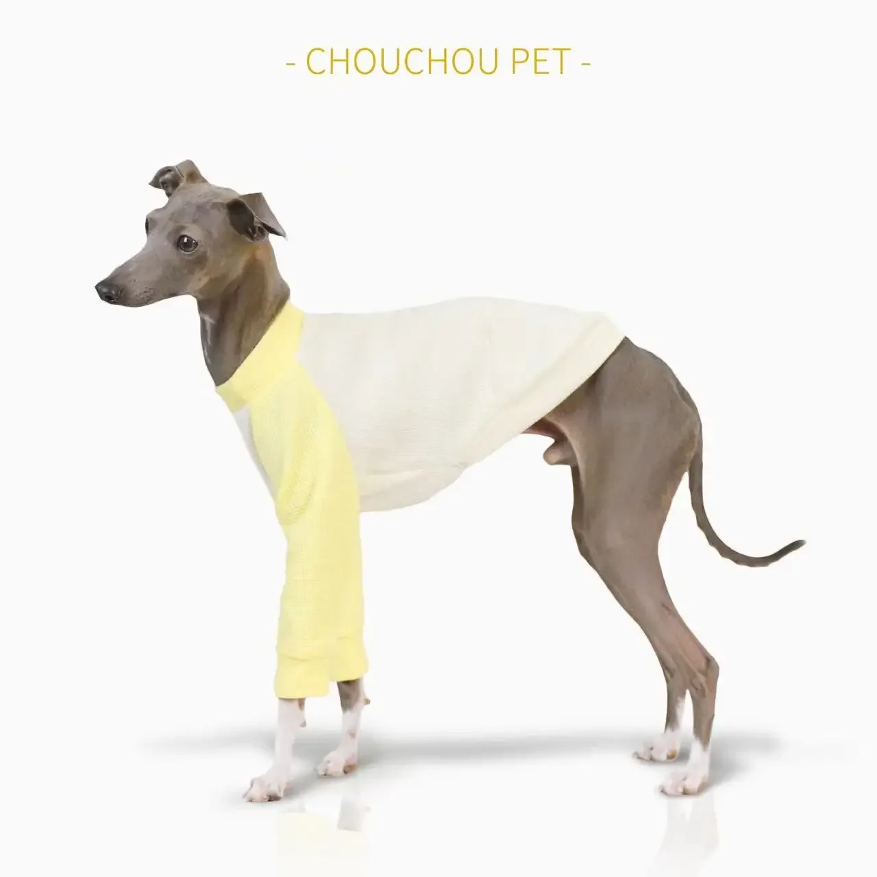Желтый итальянский iggy Whippet greyhound тренировочный костюм с круглым вырезом аксессуары для собак Одежда для маленьких собак
Желтый итальянский iggy Whippet greyhound тренировочный костюм с круглым вырезом аксессуары для собак Одежда для маленьких собак