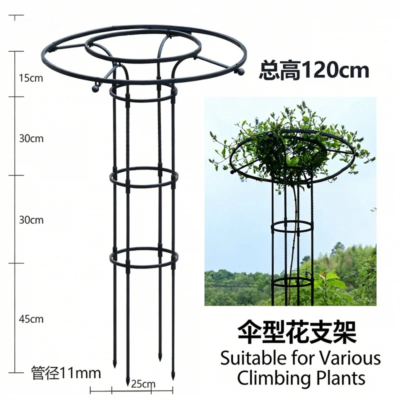 Umbrella Shaped Mushroom Head Plant Trellis Climbing Vine Support for Rose Clematis Garden Potted Flowers Yard Patio Decor Racks
Umbrella Shaped Mushroom Head Plant Trellis Climbing Vine Support for Rose Clematis Garden Potted Flowers Yard Patio Decor Racks