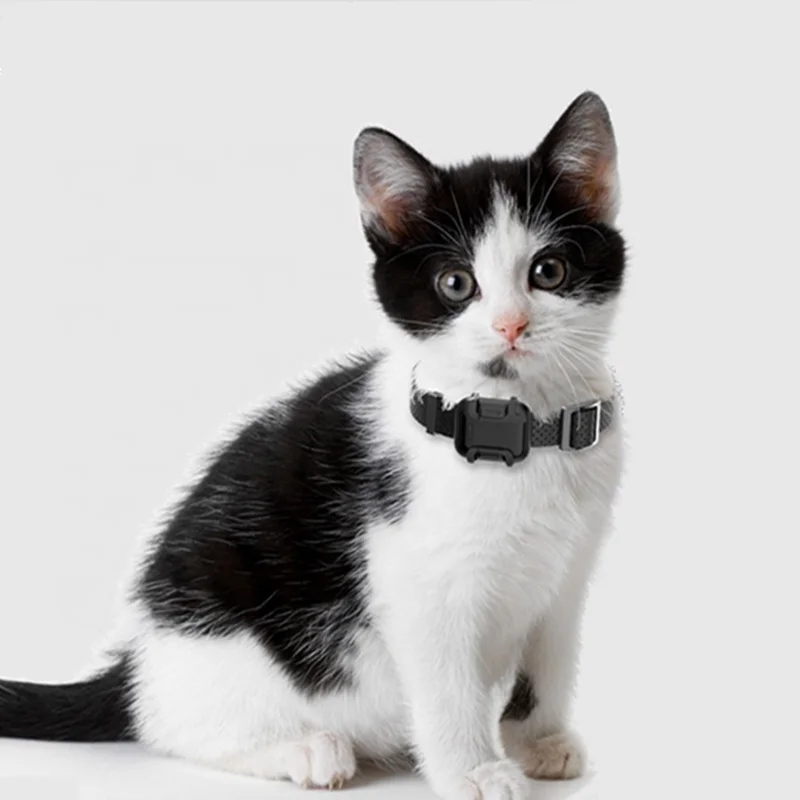 Smart Finder Pet Cat Puppy Система слежения за местоположением 2G 3G 4G GPS Спортивный ошейник для слежения за собаками
Smart Finder Pet Cat Puppy Система слежения за местоположением 2G 3G 4G GPS Спортивный ошейник для слежения за собаками