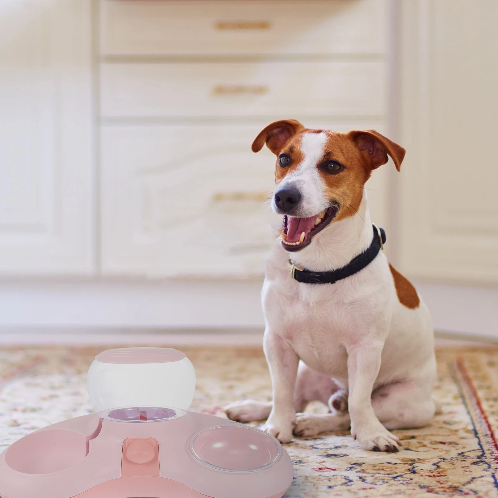 Automatic Cat Dog Feeder Bowl Material Double Bowls Durable Practical Simple Design For Home Pet Shop Pet Supplies Container
Automatic Cat Dog Feeder Bowl Material Double Bowls Durable Practical Simple Design For Home Pet Shop Pet Supplies Container