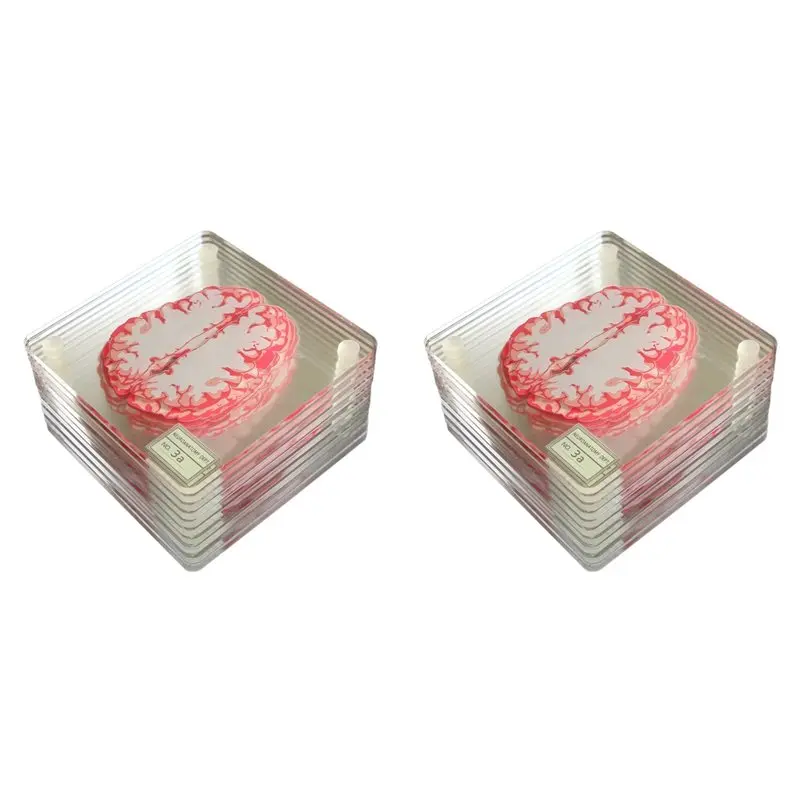 Набор акриловых подставок для напитков M12K-20X с 3D-изображением мозга, квадратные подставки для стола с срезами мозга
Набор акриловых подставок для напитков M12K-20X с 3D-изображением мозга, квадратные подставки для стола с срезами мозга