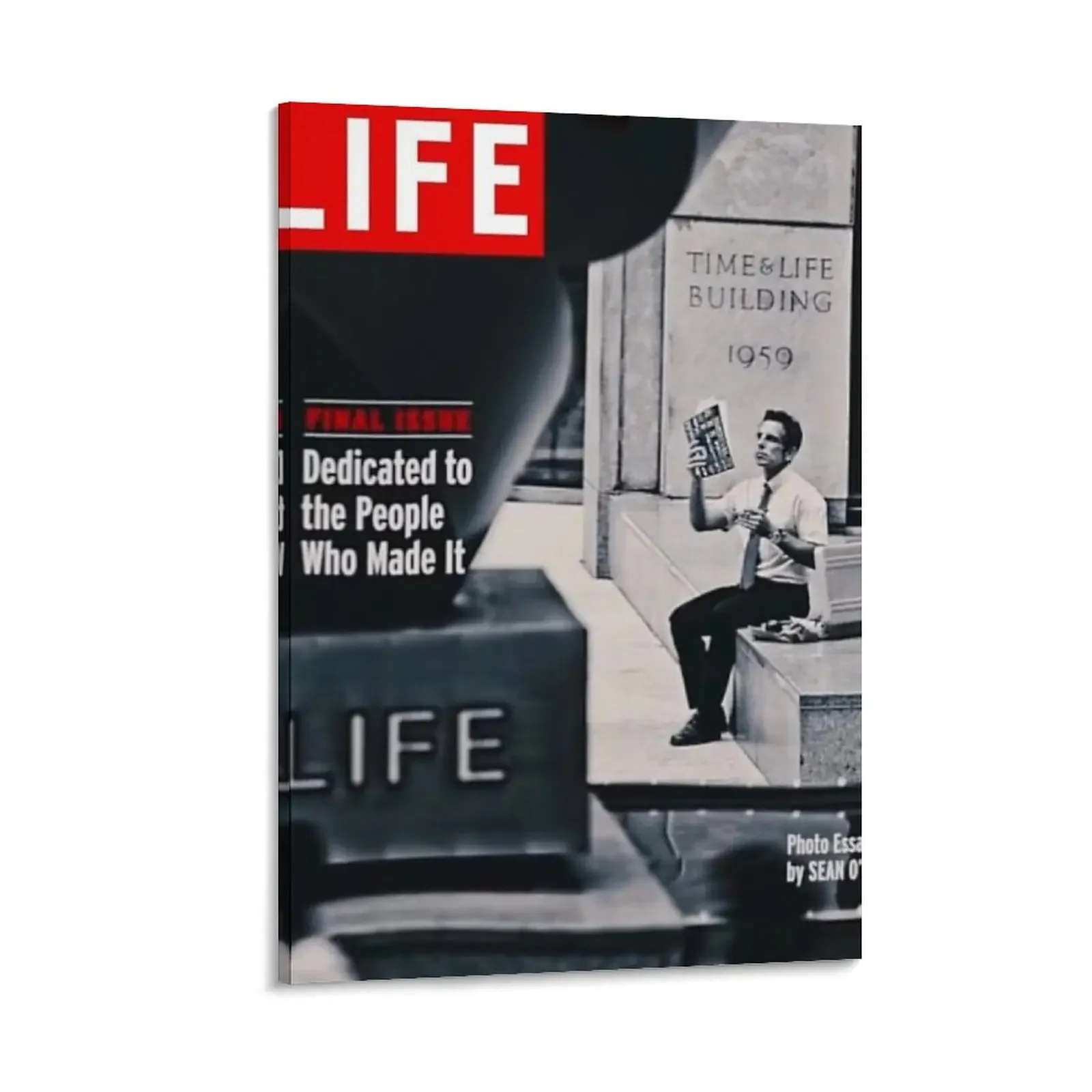 Life Magazine Walter Mitty Canvas Painting decorative items for home anime Wall decoration frame
Life Magazine Walter Mitty Canvas Painting decorative items for home anime Wall decoration frame