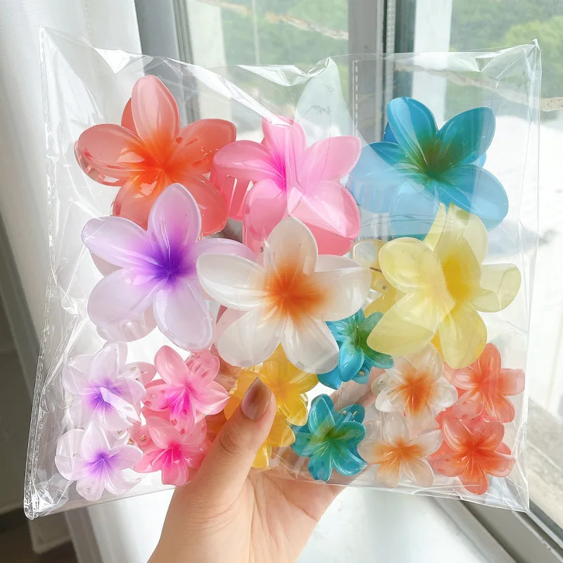18pcs Colorful Gradient Hair Claws Plumeria Flower Bohemian Ponytail Clip Beach Headwear Summer Hair Accessories
18pcs Colorful Gradient Hair Claws Plumeria Flower Bohemian Ponytail Clip Beach Headwear Summer Hair Accessories