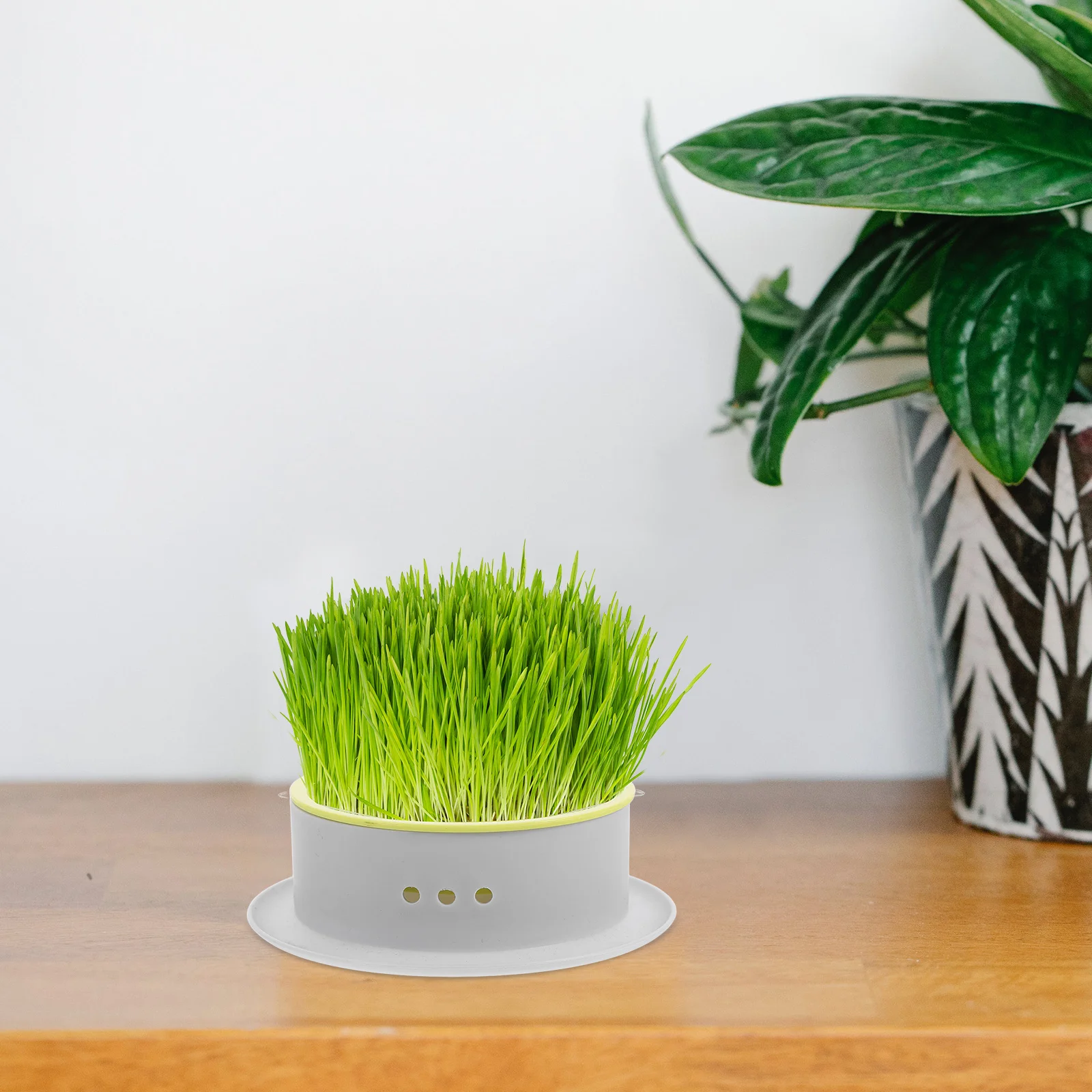 Cat Grass Planter Plastic Material Hydroponic Soilless Double Layer Household Nursery Plant Grass Planter
Cat Grass Planter Plastic Material Hydroponic Soilless Double Layer Household Nursery Plant Grass Planter