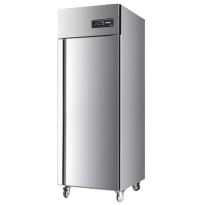 Factory Hot Sale Stainless Steel One-Big-Door Top-Freezer Commercial Refrigerator with Compressor for Freezing
Factory Hot Sale Stainless Steel One-Big-Door Top-Freezer Commercial Refrigerator with Compressor for Freezing