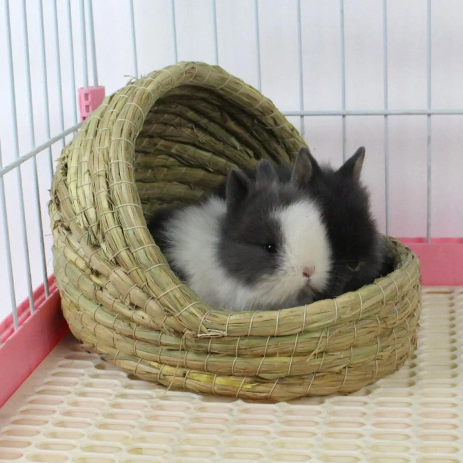 Кровать для хомяка, плетеная из соломы, частное спальное место, маленькая кровать для домашних животных, клетка для птиц, курятник, ферма, разведение яиц, укладка
Кровать для хомяка, плетеная из соломы, частное спальное место, маленькая кровать для домашних животных, клетка для птиц, курятник, ферма, разведение яиц, укладка