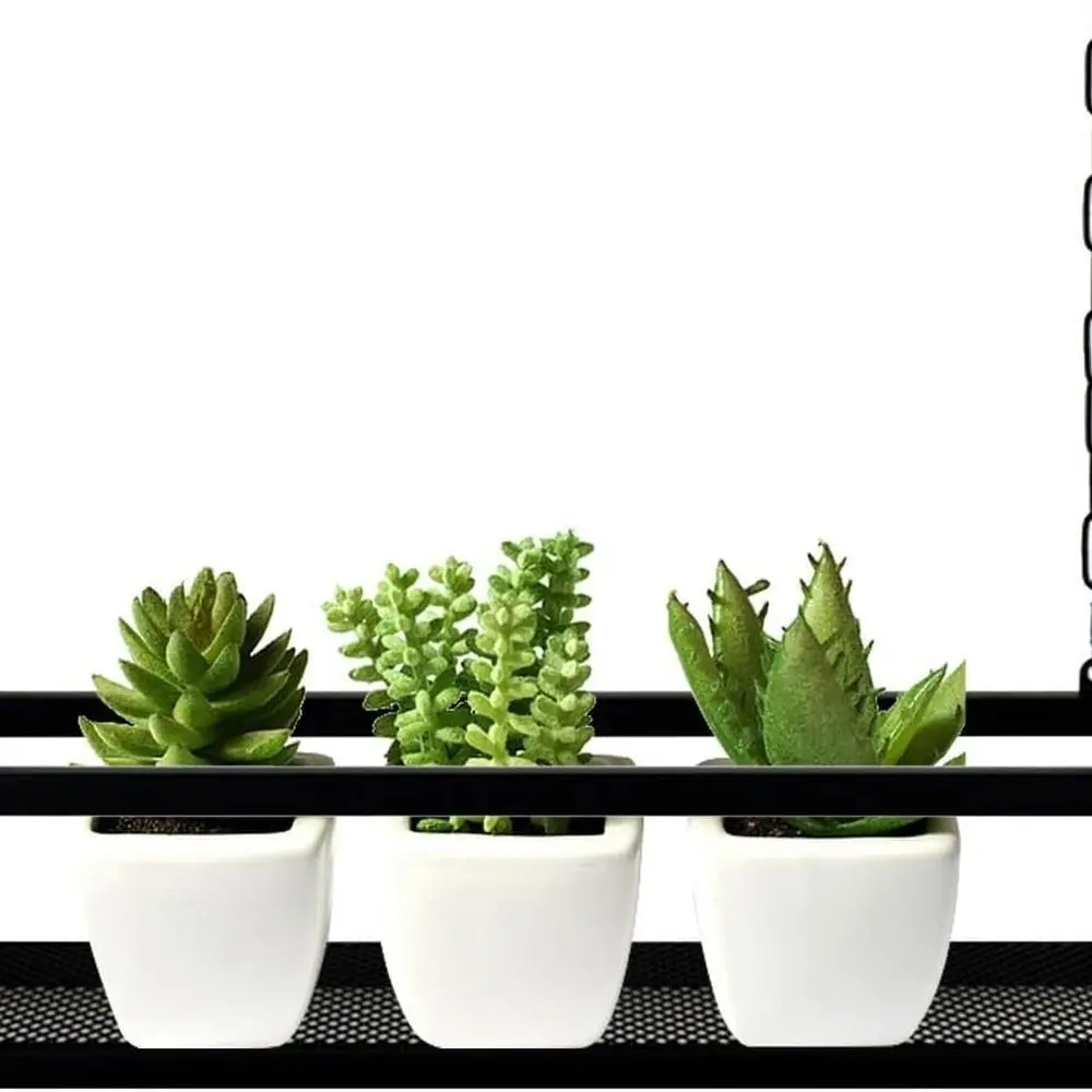 Верхний металлический держатель для бокалов для вина — настенная стойка для растений и цветочных дисплеев (120x25x15 см)
Верхний металлический держатель для бокалов для вина — настенная стойка для растений и цветочных дисплеев (120x25x15 см)