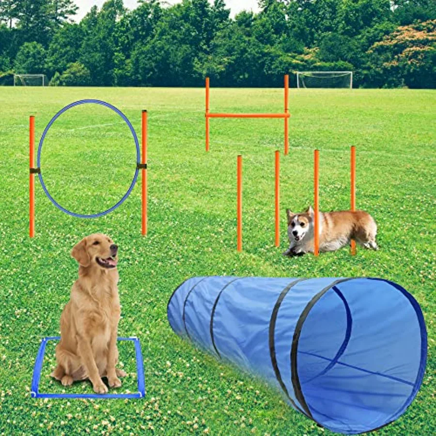 Dog Agility Training Equipment, Obstacle Agility Training Starter Kit for Doggie, Including Tunnel, 13 Weave Poles, Adjustable
Dog Agility Training Equipment, Obstacle Agility Training Starter Kit for Doggie, Including Tunnel, 13 Weave Poles, Adjustable