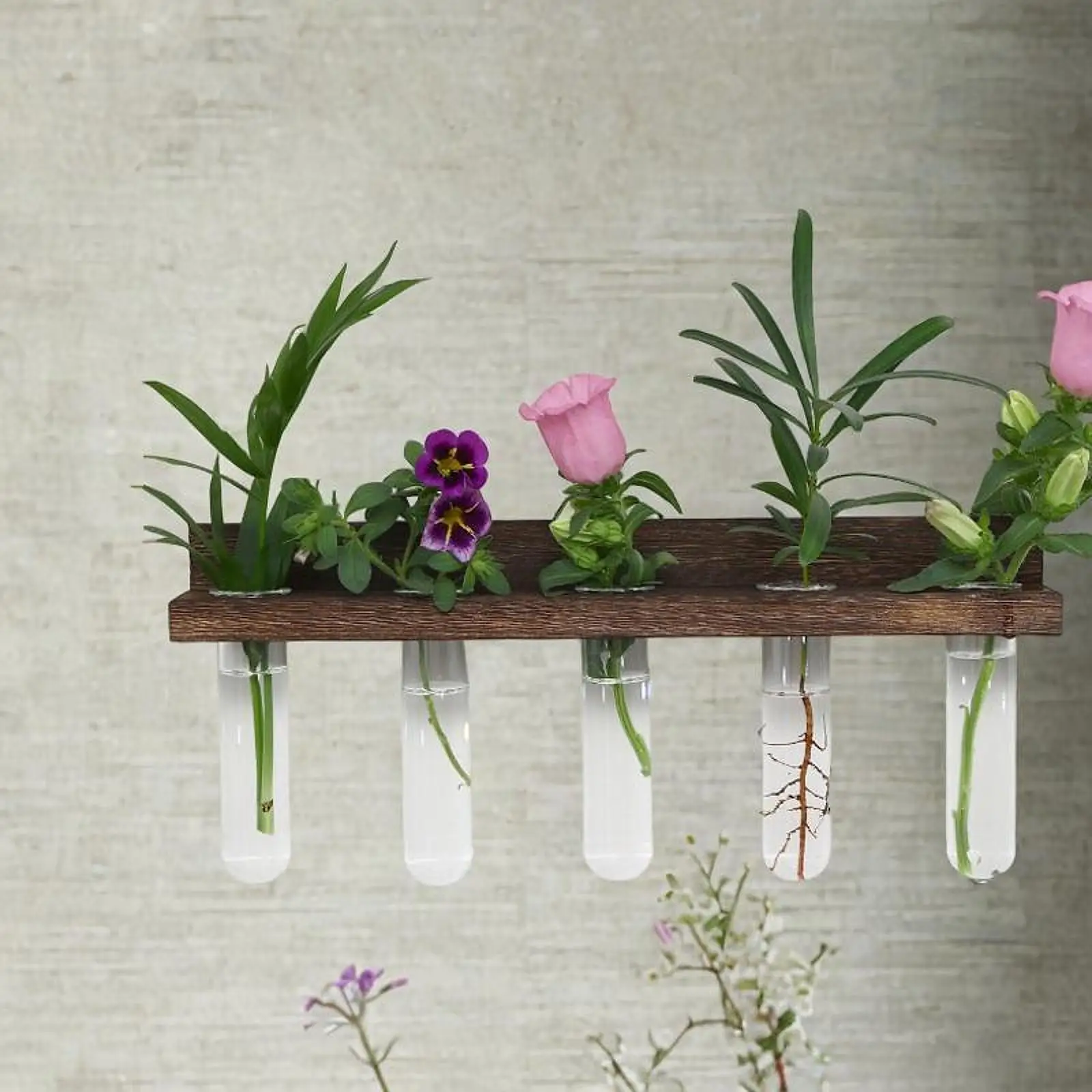 Hydroponic Flower Vase Clear Wall Hanging Propagation Station with Wooden Stand for Desktop Living Room Farmhouse Cafe Balcony
Hydroponic Flower Vase Clear Wall Hanging Propagation Station with Wooden Stand for Desktop Living Room Farmhouse Cafe Balcony