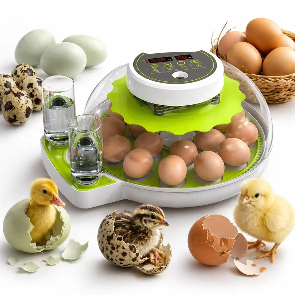 Automatic Egg Turner with Humidity Control for Hatching Chicken, Duck, and Quail Eggs - Ideal for Home or Classroom
Automatic Egg Turner with Humidity Control for Hatching Chicken, Duck, and Quail Eggs - Ideal for Home or Classroom
