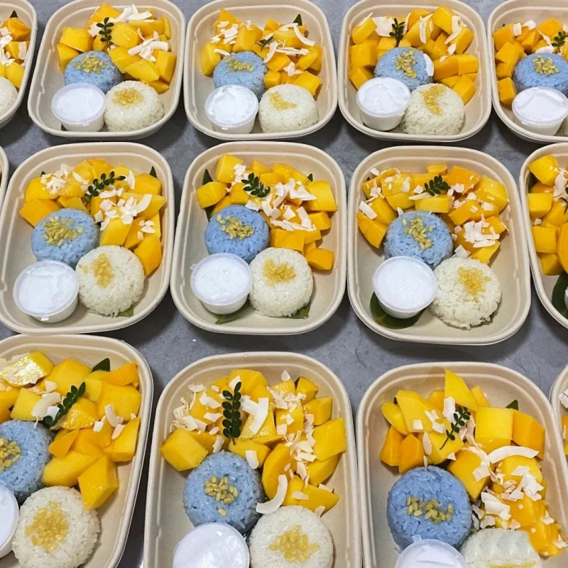 Custom New Fat Reduction Lunch Box Disposable Internet Celebrity Fruit Salad Box Light Food Packing Box Large Capacity with Lid
Custom New Fat Reduction Lunch Box Disposable Internet Celebrity Fruit Salad Box Light Food Packing Box Large Capacity with Lid
