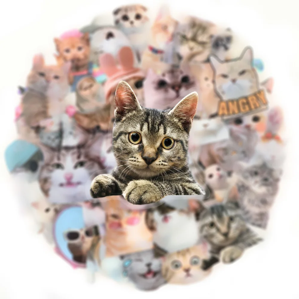 10/50PCS Cute Cat Meme Graffiti Sticker Funny PET Cat Cartoon Decal Laptop Phone Guitar Skateboard Waterproof Sticker Kid Toys
10/50PCS Cute Cat Meme Graffiti Sticker Funny PET Cat Cartoon Decal Laptop Phone Guitar Skateboard Waterproof Sticker Kid Toys