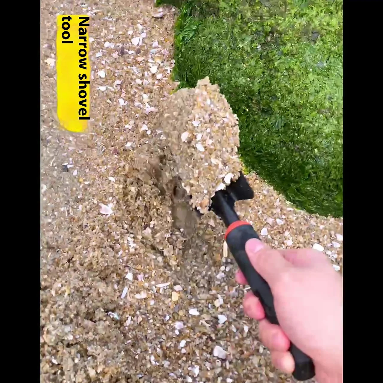 thumb
