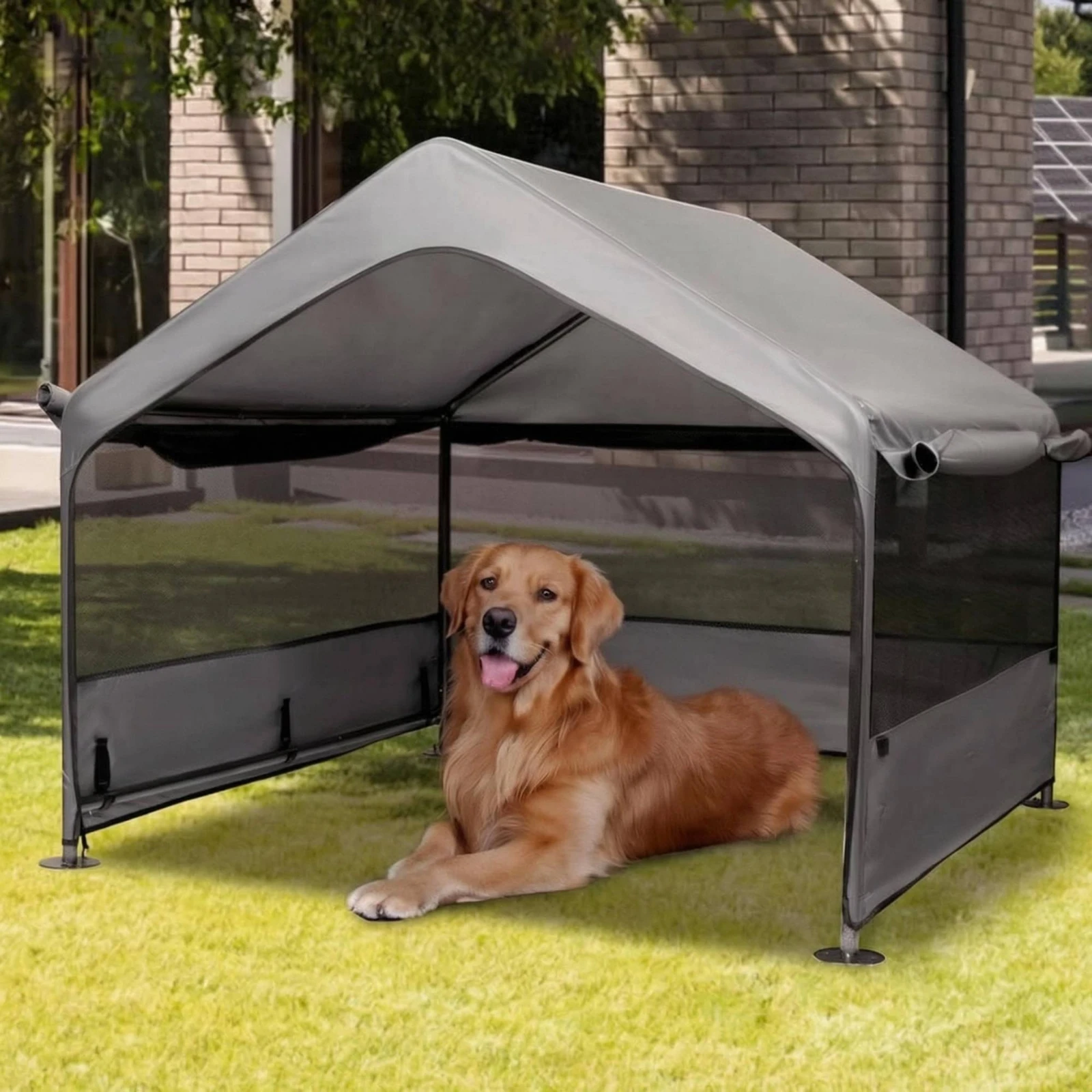Elevated Pet Shelter Ground Stakes Steel Frame Pet Shelter Easy to Clean Scratch-Resistant for Indoor Use
Elevated Pet Shelter Ground Stakes Steel Frame Pet Shelter Easy to Clean Scratch-Resistant for Indoor Use