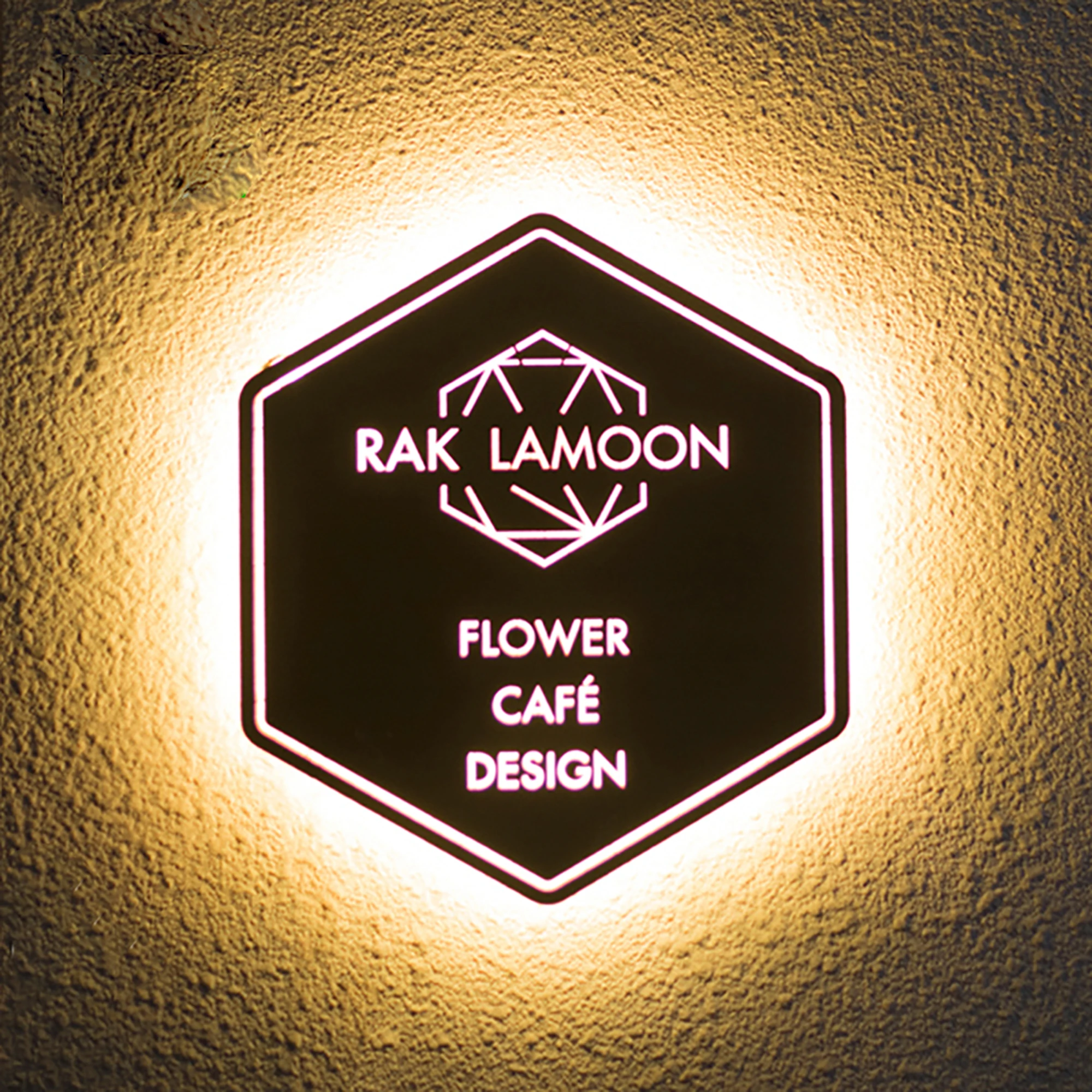Custom Exterior business LED light Box halo lit stainless steel outdoor waterproof restaurant cafe
Custom Exterior business LED light Box halo lit stainless steel outdoor waterproof restaurant cafe