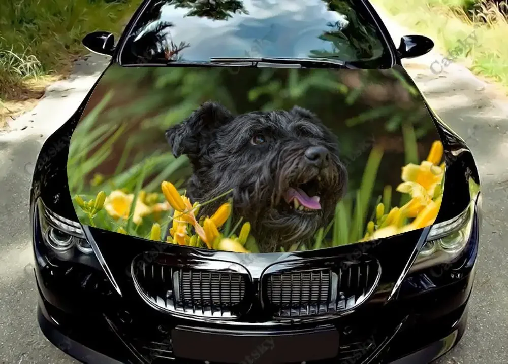 Черная наклейка на капот автомобиля Norfolk Terrier с изображением животных, самоклеящаяся краска, подходит для внедорожника, графика, виниловая наклейка на двигатель автомобиля
Черная наклейка на капот автомобиля Norfolk Terrier с изображением животных, самоклеящаяся краска, подходит для внедорожника, графика, виниловая наклейка на двигатель автомобиля