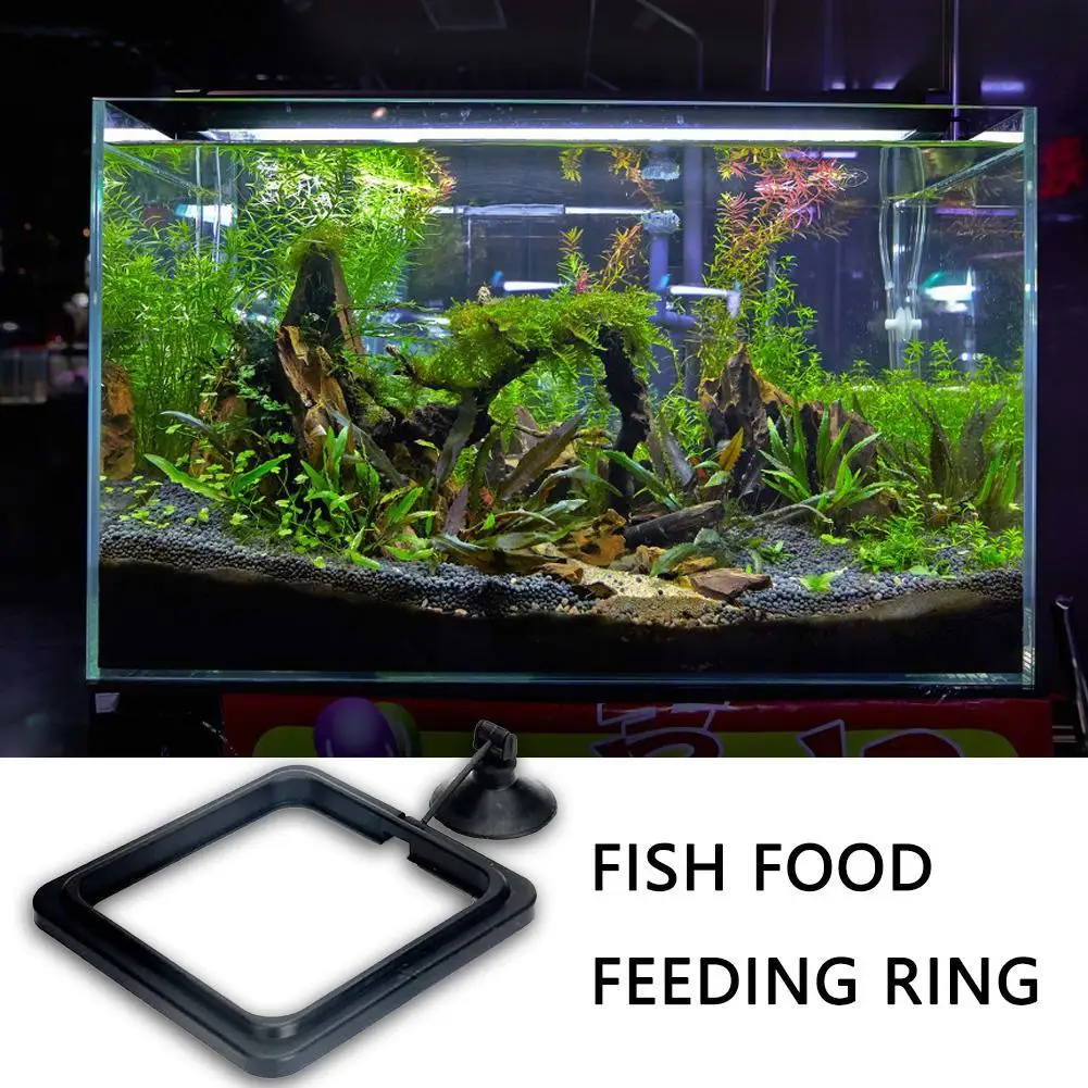C9 Water Plant Buoyancy Circle Feeding Ring Aquarium Fish Tools Fish Feeding Aquarium Fish Tank Ring Feeder Station Floating
C9 Water Plant Buoyancy Circle Feeding Ring Aquarium Fish Tools Fish Feeding Aquarium Fish Tank Ring Feeder Station Floating