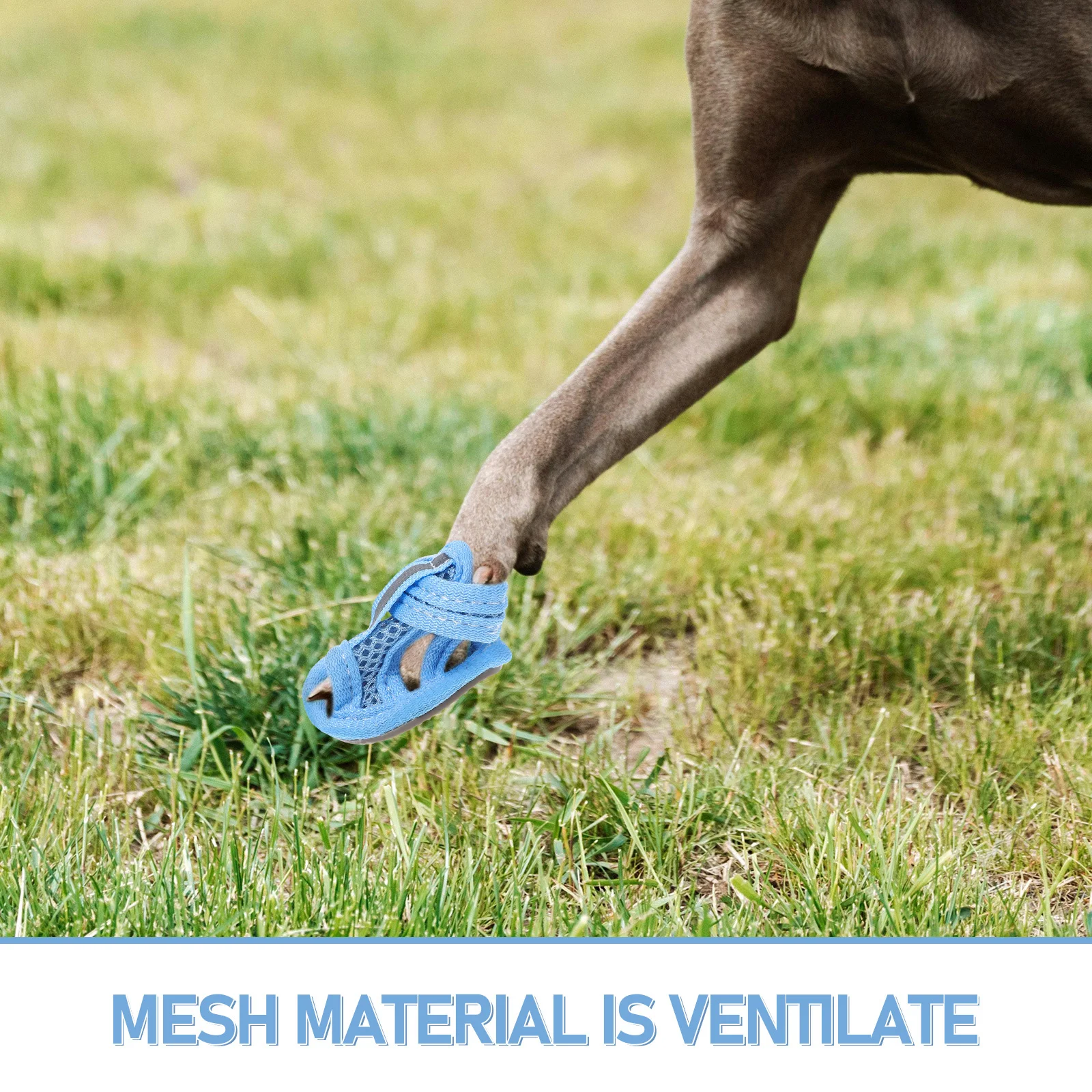 4pcs Pet For Dogs Mesh Breathable Summer Shoes Anti-Slip Dog Pet Dog Shoes Boots Comfortable Paw Protectors Outdoor
4pcs Pet For Dogs Mesh Breathable Summer Shoes Anti-Slip Dog Pet Dog Shoes Boots Comfortable Paw Protectors Outdoor