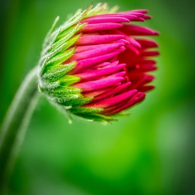 4 шт., углеродное волокно, 1,9 дюйма, обод колеса с бисером, ступица колеса для 1/10 RC гусеничного автомобиля, осевой SCX10 TRX4
4 шт., углеродное волокно, 1,9 дюйма, обод колеса с бисером, ступица колеса для 1/10 RC гусеничного автомобиля, осевой SCX10 TRX4