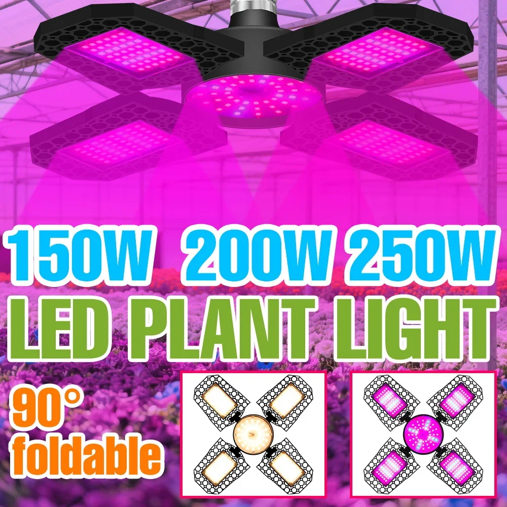 250W LED Plant Grow Light Bulb E26 Full Spectrum 220V Indoor Cultivation Lamp E27 Deformable Flower Seeds Vegs Fill Lighting
250W LED Plant Grow Light Bulb E26 Full Spectrum 220V Indoor Cultivation Lamp E27 Deformable Flower Seeds Vegs Fill Lighting