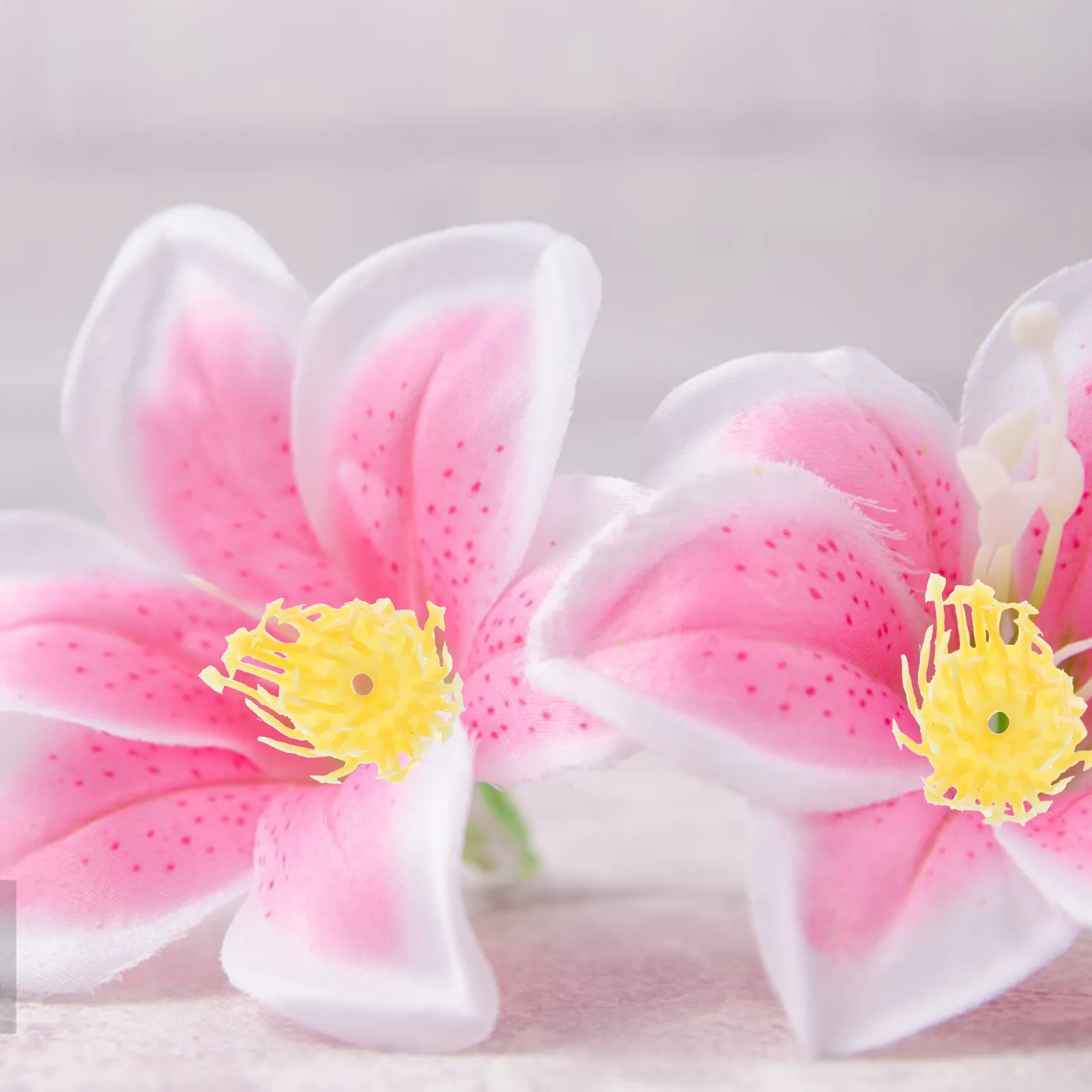 30 шт. Желтые гибкие искусственные цветочные сердцевины с жемчужными тычинками для изготовления искусственных цветов, поделок и украшения дома
30 шт. Желтые гибкие искусственные цветочные сердцевины с жемчужными тычинками для изготовления искусственных цветов, поделок и украшения дома