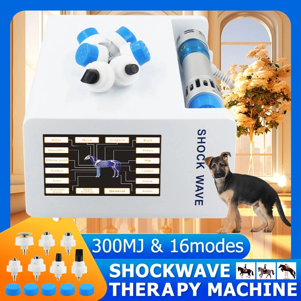 Аппарат ударно-волновой терапии для животных 300 мДж: снимает боль в связках и лечит мышечные травмы. Профессиональный ударно-волновой массажер для лошадей.
Аппарат ударно-волновой терапии для животных 300 мДж: снимает боль в связках и лечит мышечные травмы. Профессиональный ударно-волновой массажер для лошадей.