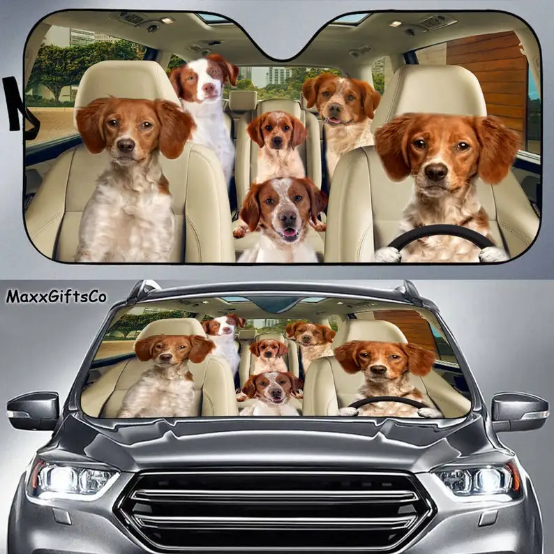 Brittany Spaniel Car Sun Shade, Brittany Spaniel Windshield, Dogs Family Sunshade, Dog Car Accessories, Car Decoration, Gift For
Brittany Spaniel Car Sun Shade, Brittany Spaniel Windshield, Dogs Family Sunshade, Dog Car Accessories, Car Decoration, Gift For