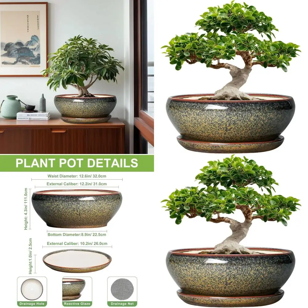 12 Inch Ceramic Succulent Pots with Drainage and Saucer - Large Planters for Indoor/Outdoor, Shallow Bowls, Home Decor, Gift for
12 Inch Ceramic Succulent Pots with Drainage and Saucer - Large Planters for Indoor/Outdoor, Shallow Bowls, Home Decor, Gift for