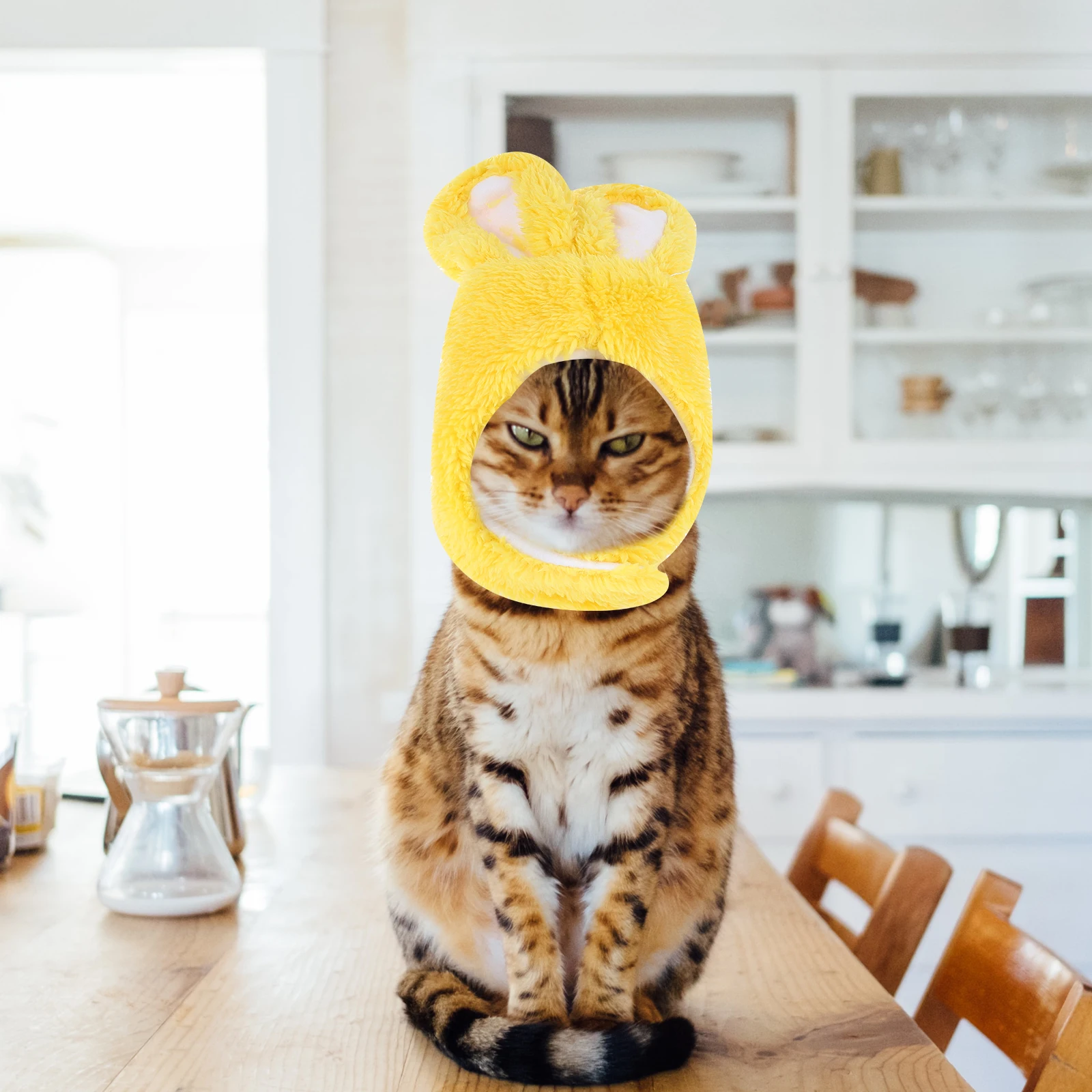 2 Pcs Hats Dog Cat Accessories Sherpa Cap Costumes Adorable Fashion Comfortable Practical Dog Hat Durable Pet Hat
2 Pcs Hats Dog Cat Accessories Sherpa Cap Costumes Adorable Fashion Comfortable Practical Dog Hat Durable Pet Hat
