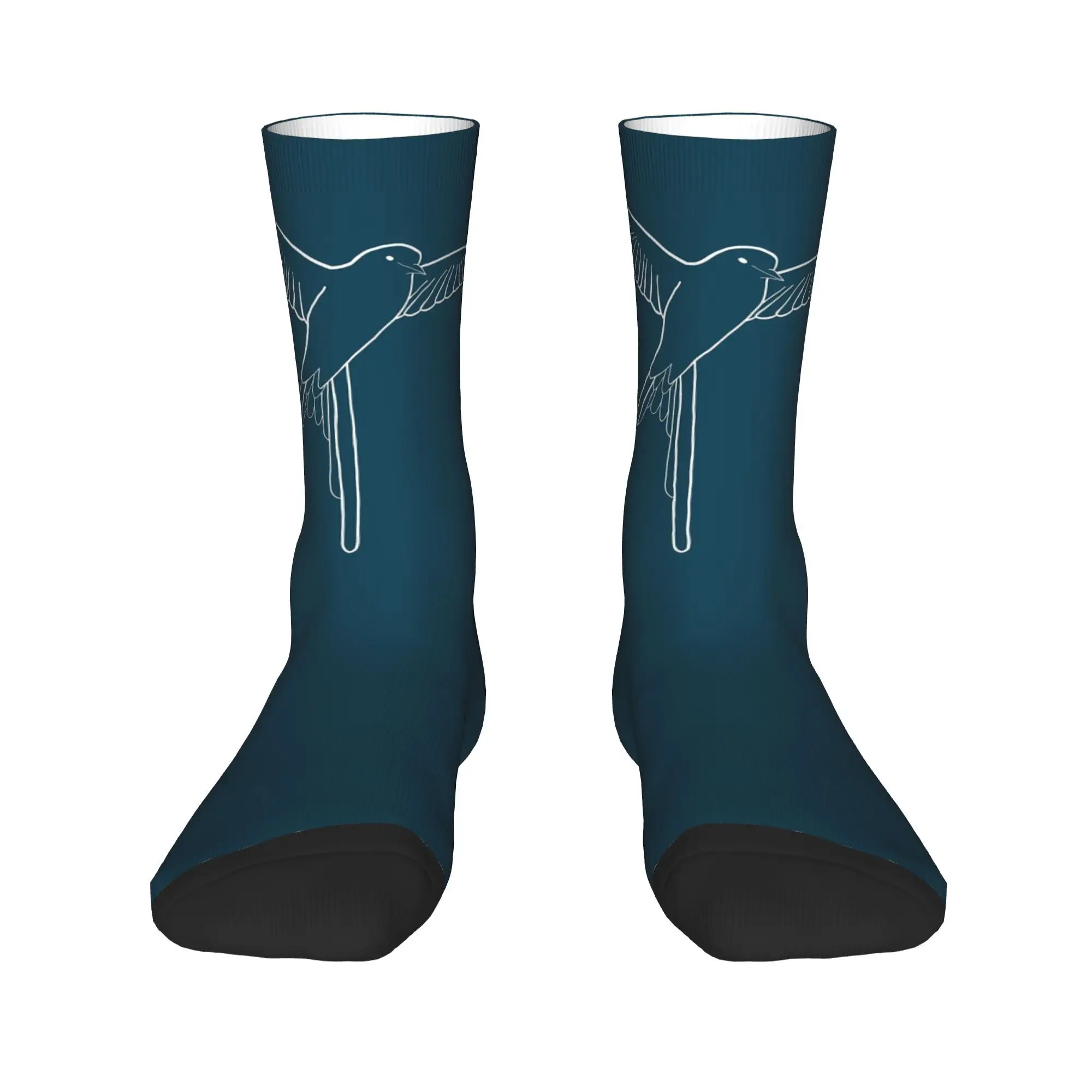 Размах крыльев, настольная игра, носки Bird Outlin, чулки высокого качества в стиле Харадзюку, всесезонные длинные носки, аксессуары для подарков унисекс
Размах крыльев, настольная игра, носки Bird Outlin, чулки высокого качества в стиле Харадзюку, всесезонные длинные носки, аксессуары для подарков унисекс