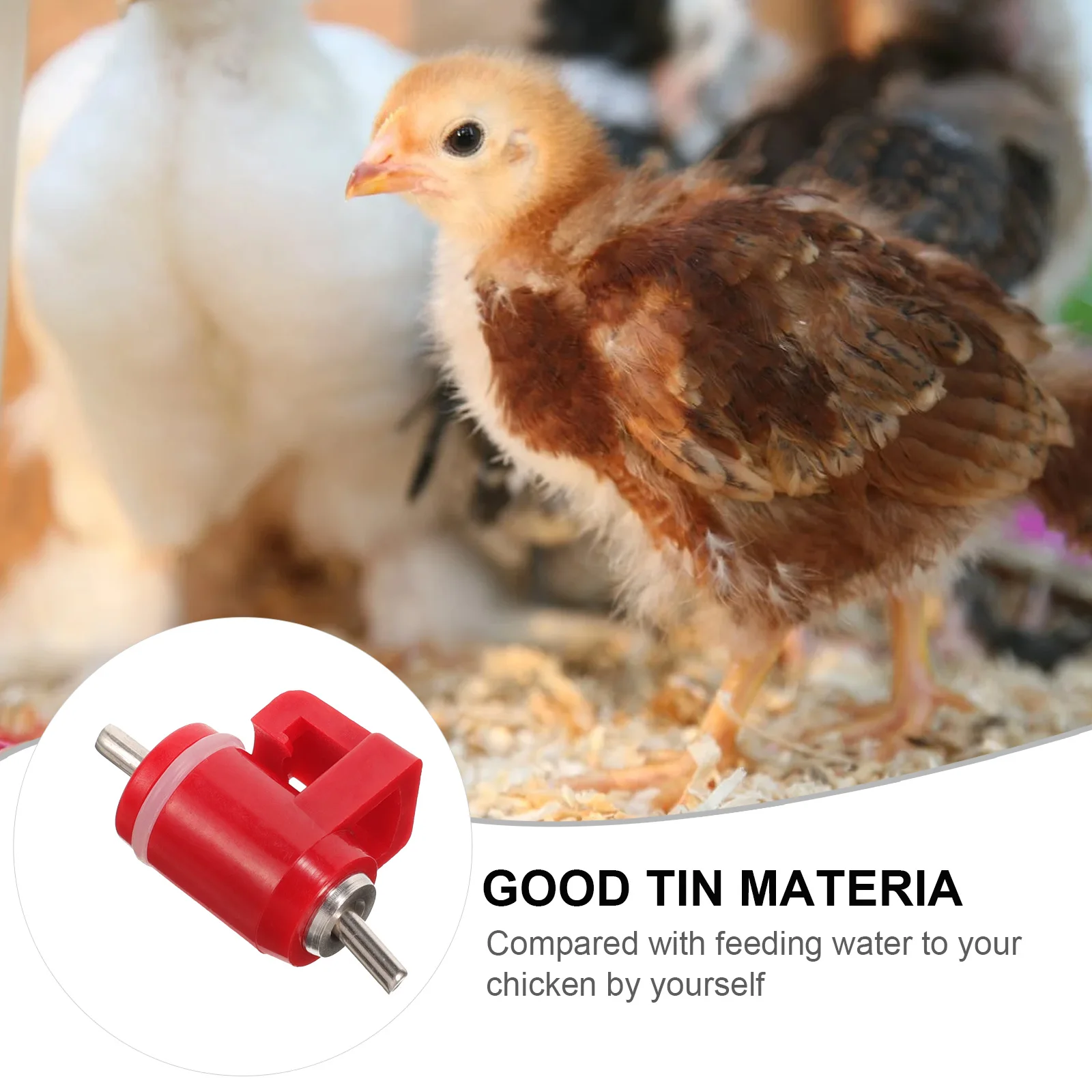 10pcs Chicken Waterer Nipples Red Head Automatic Poultry Drinking System Bucket Chickens Ducks Quails Farm Supplies Beginner
10pcs Chicken Waterer Nipples Red Head Automatic Poultry Drinking System Bucket Chickens Ducks Quails Farm Supplies Beginner