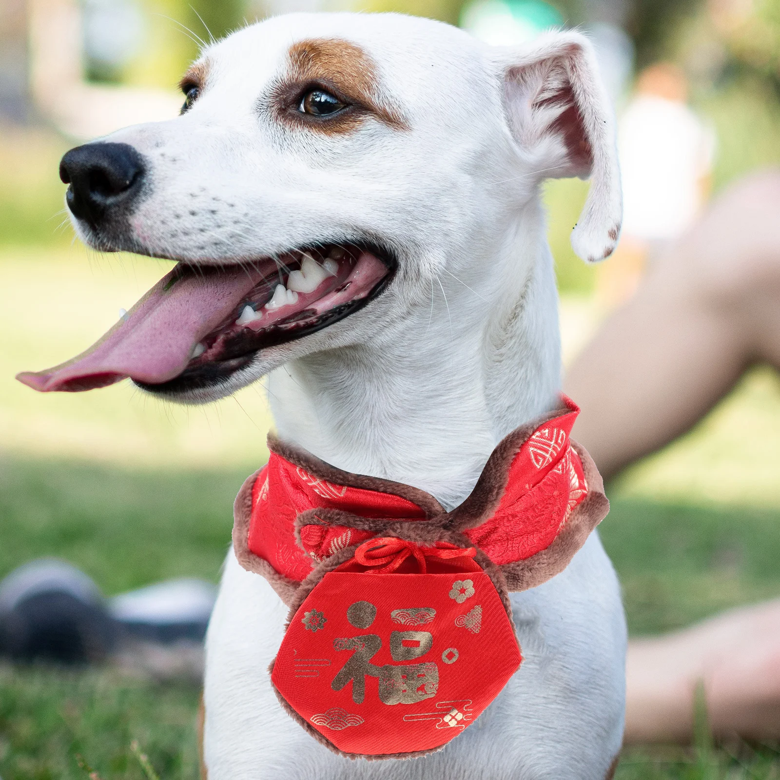 New Year Pet Cloak Warm Costume Cats Dogs Acrylic Cape Party Outfit Chinese Style Pet Supplies Lightweight Comfortable Practical
New Year Pet Cloak Warm Costume Cats Dogs Acrylic Cape Party Outfit Chinese Style Pet Supplies Lightweight Comfortable Practical